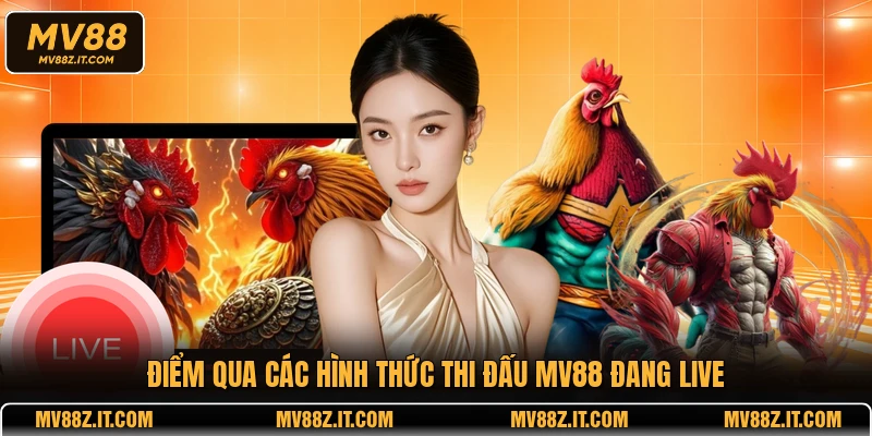 Điểm qua các hình thức thi đấu MV88 đang live