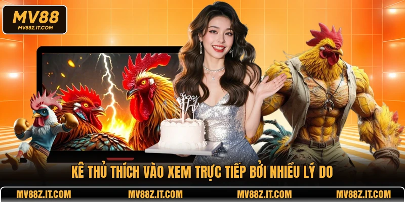 Kê thủ thích vào xem trực tiếp bởi nhiều lý do