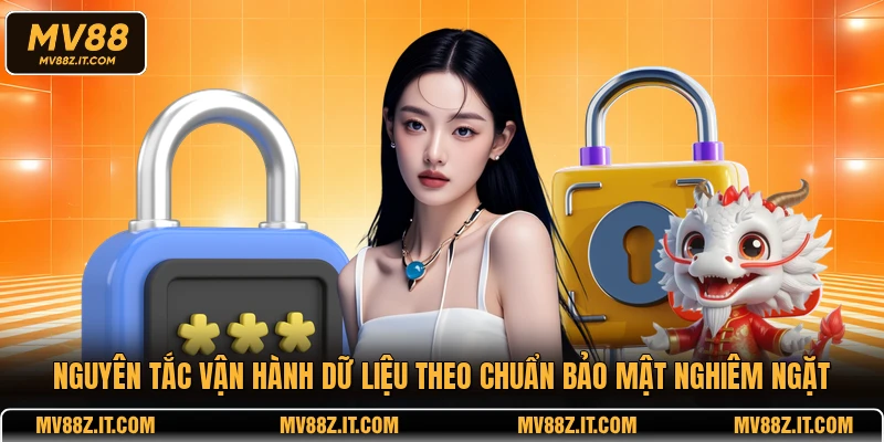 Nguyên tắc vận hành dữ liệu theo chuẩn bảo mật nghiêm ngặt